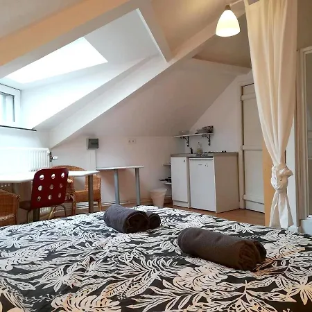 Studio In With Enclosed Garden And Wifi Apartmán Lutych